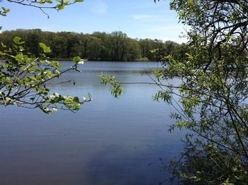 Cleveley Mere Luxury Waterside Lodges Scorton  Экстерьер фото
